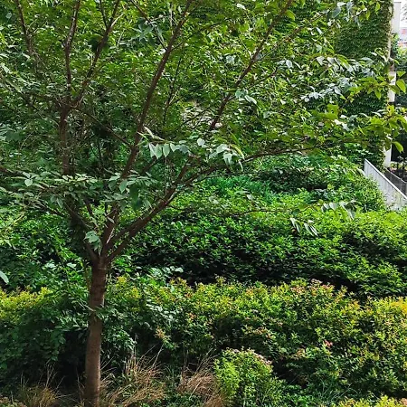 Komfortowe Mieszkanie Centrum * Wroclaw